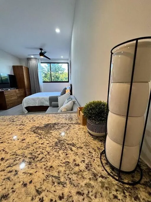 Departamento En Tulum, Solum Living Apartment 0*, Tulum