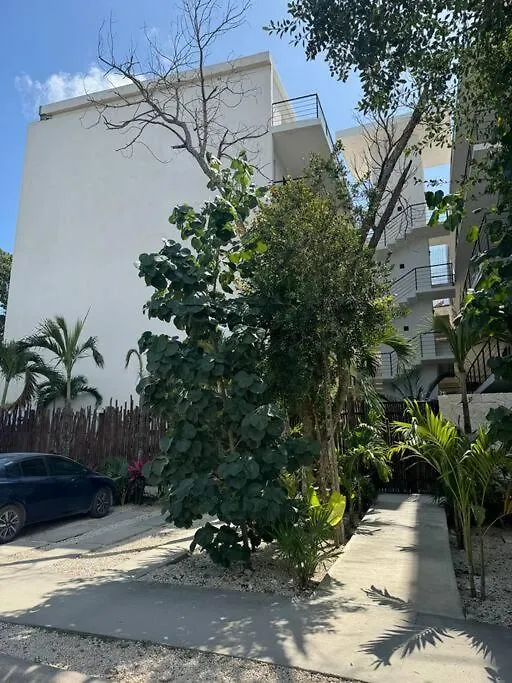 Departamento En Tulum, Solum Living Apartment